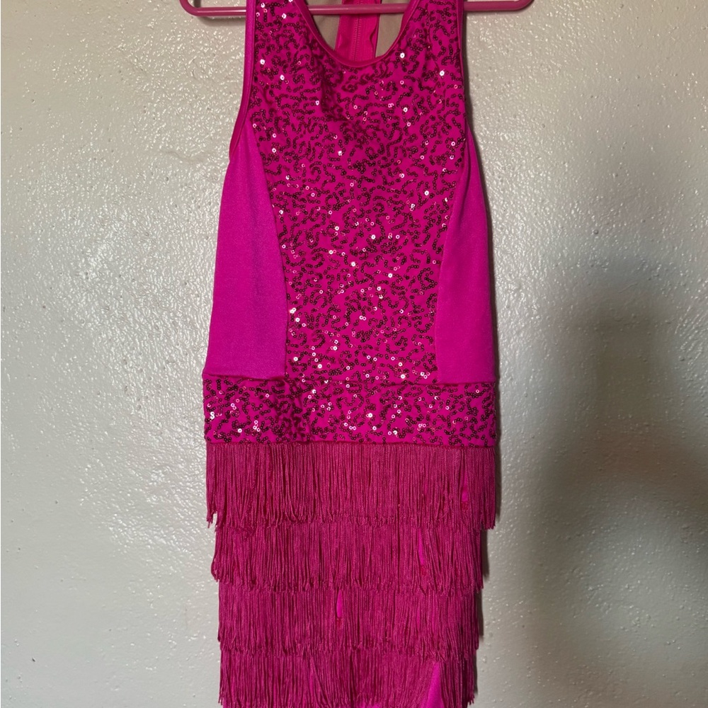 Pink Sequin Fringe Dress/Outfit